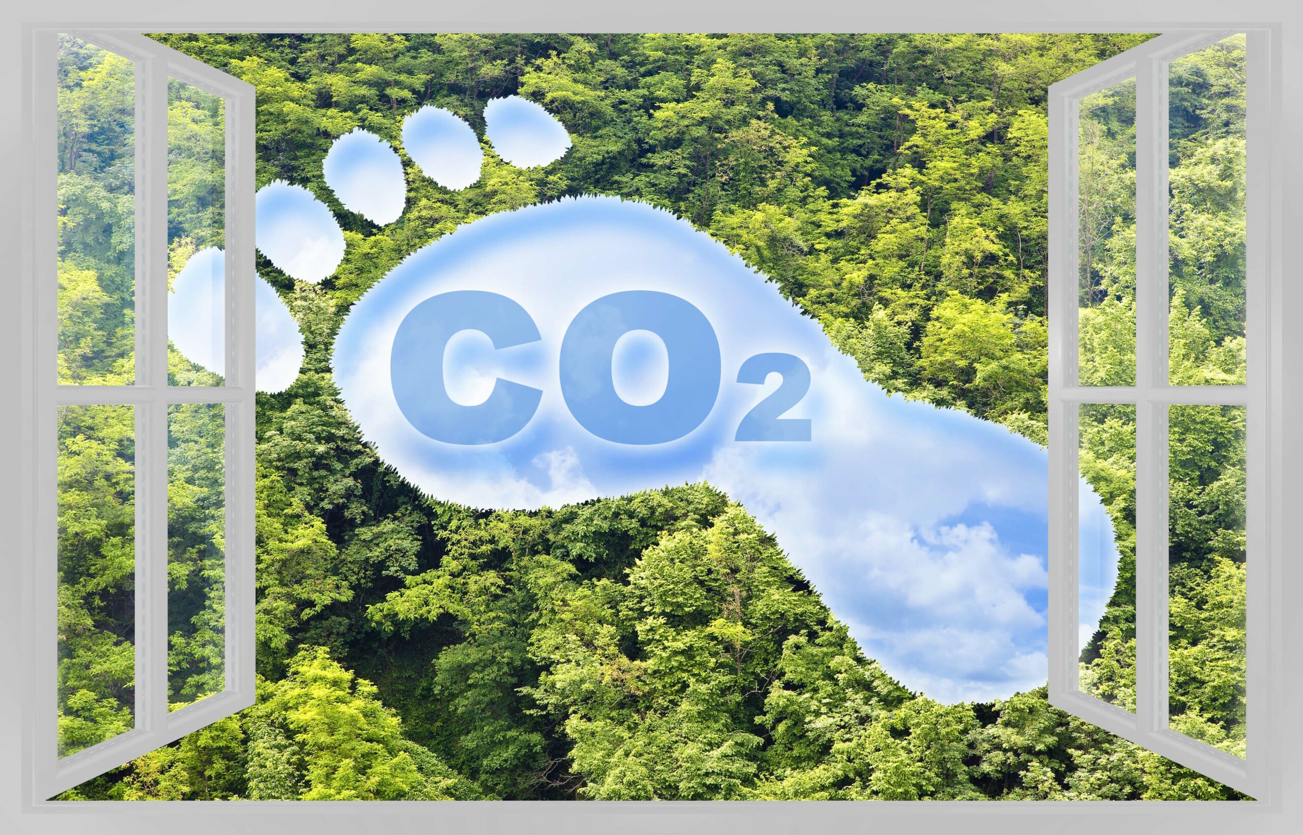How can your windows impact your carbon footprint