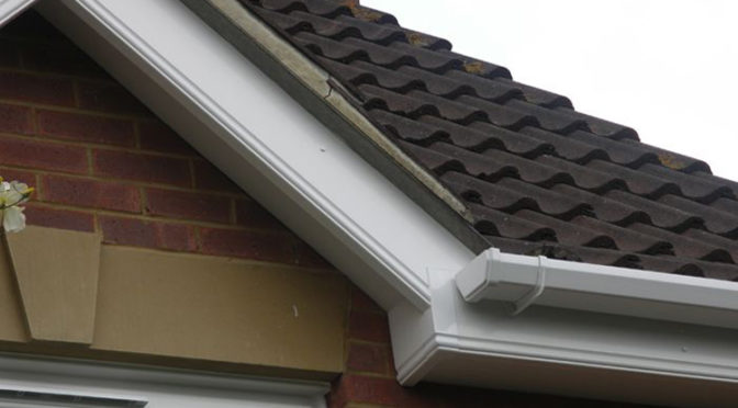 Fascias